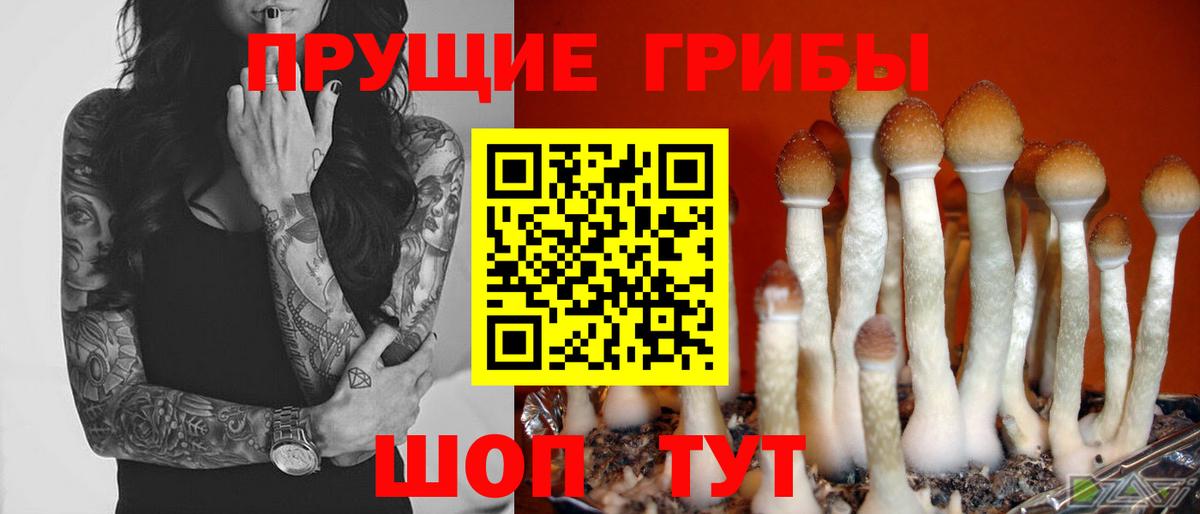 Похвистнево  Галлюциногенные грибы Magic Shrooms  Вход с VPN 